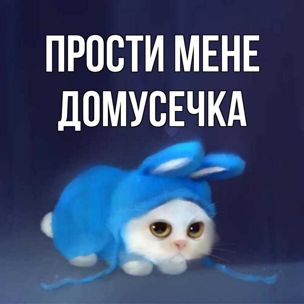 Открытка на каждый день з підписом, Домусечка Прости мене невинный котозай просит прощения Прикольна листівка з побажанням онлайн скачати безкоштовно 