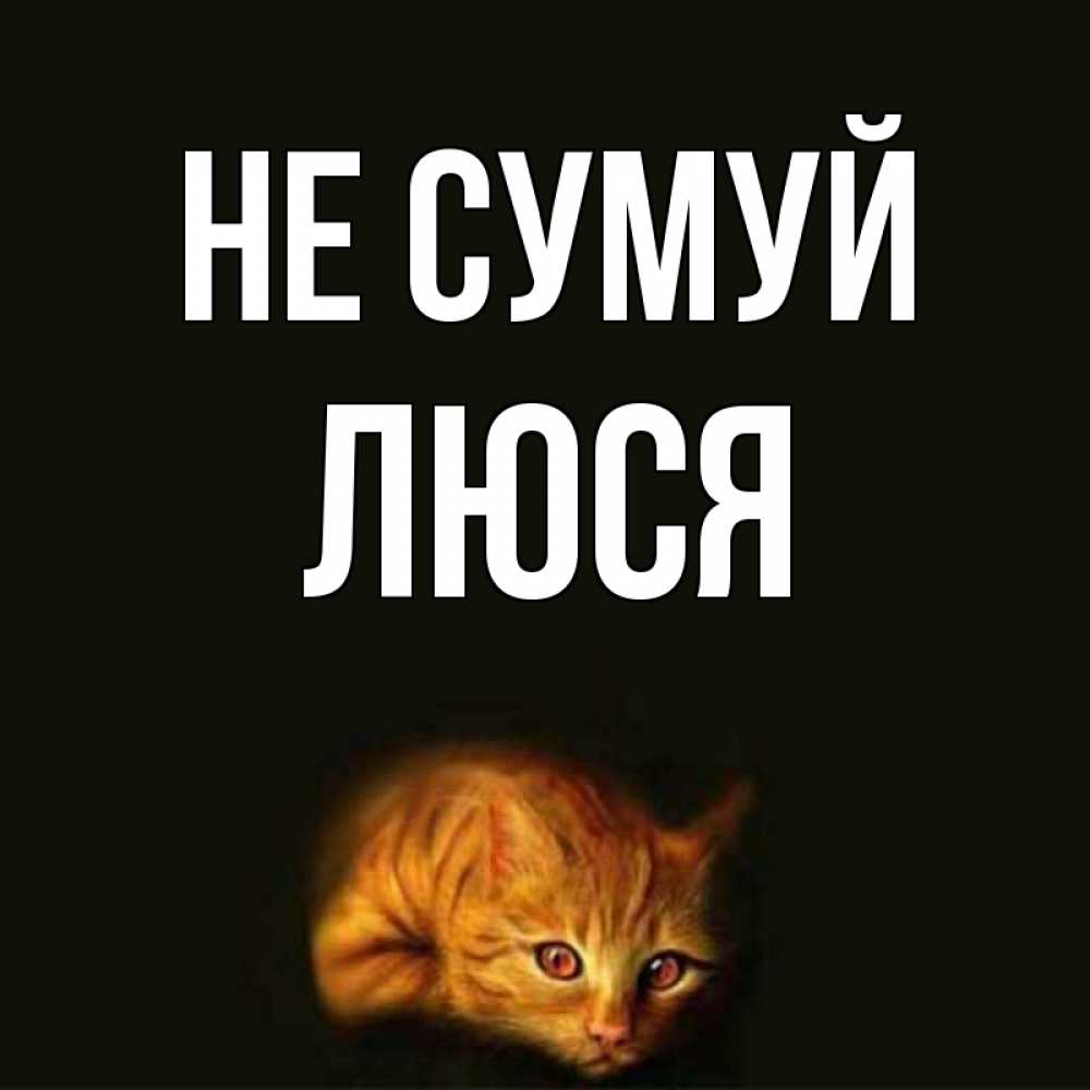 Открытка на каждый день з підписом, Люся Не сумуй лежащий кот в темноте Прикольна листівка з побажанням онлайн скачати безкоштовно 