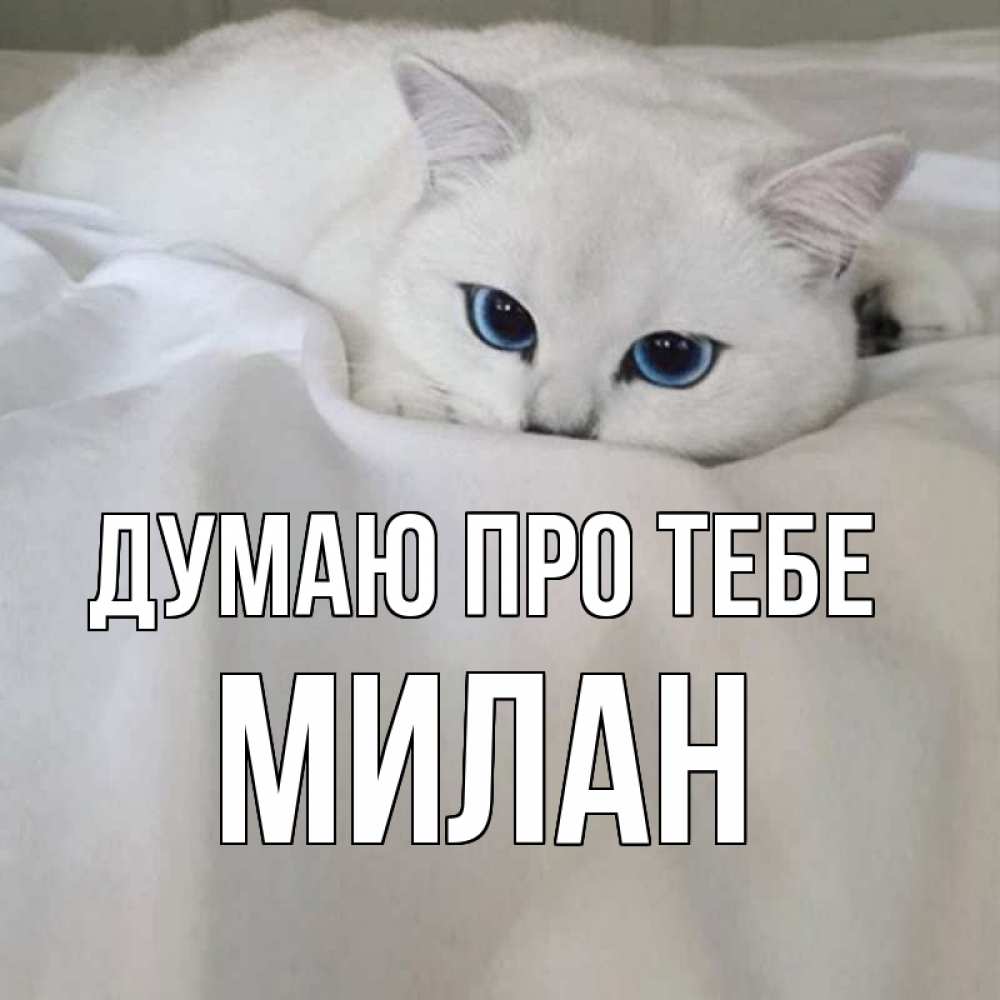 Открытка на каждый день з підписом, Милан Думаю про тебе я очень по тебе скучаю и тоскую Прикольна листівка з побажанням онлайн скачати безкоштовно 