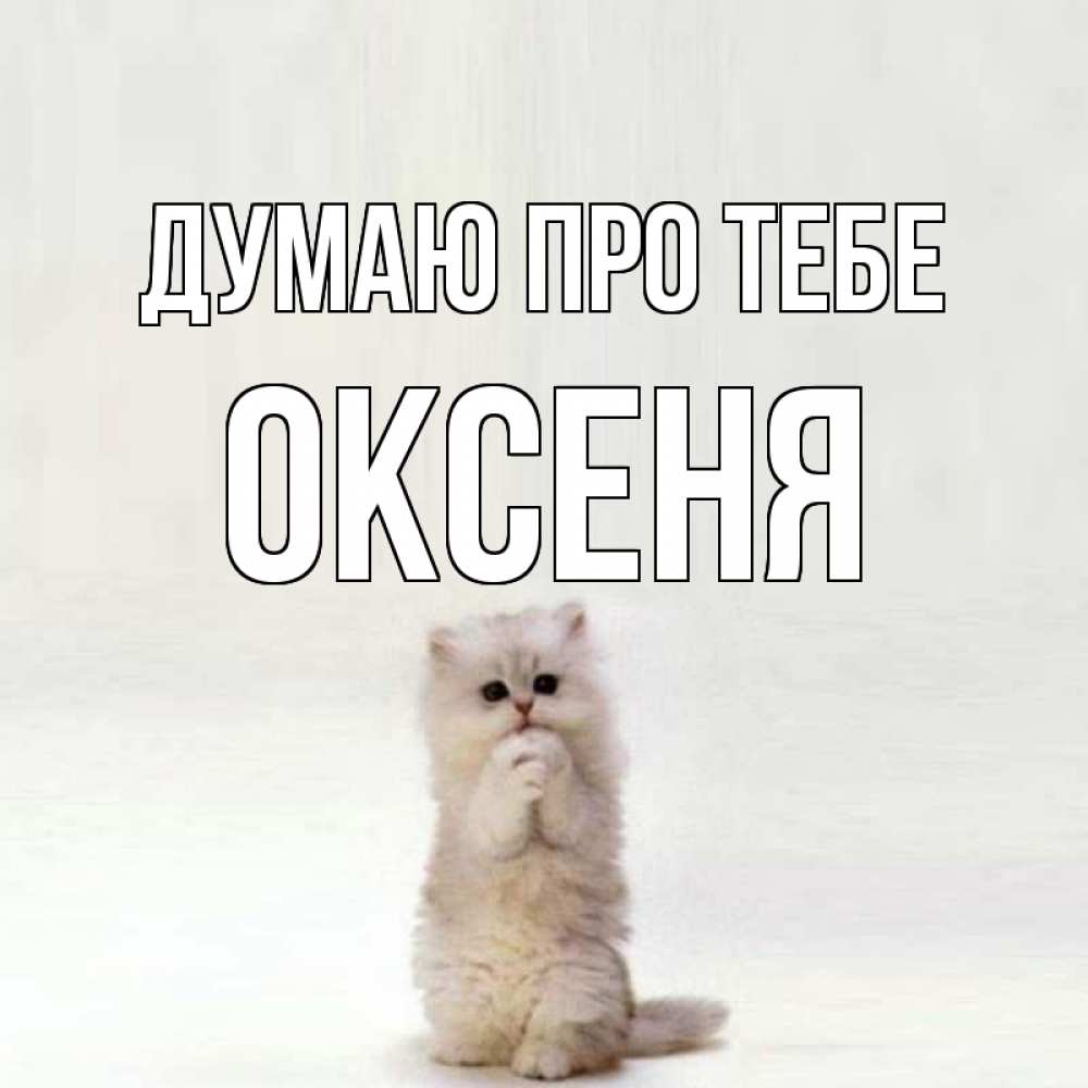 Открытка на каждый день з підписом, Оксеня Думаю про тебе кот стоит на задних лапах Прикольна листівка з побажанням онлайн скачати безкоштовно 