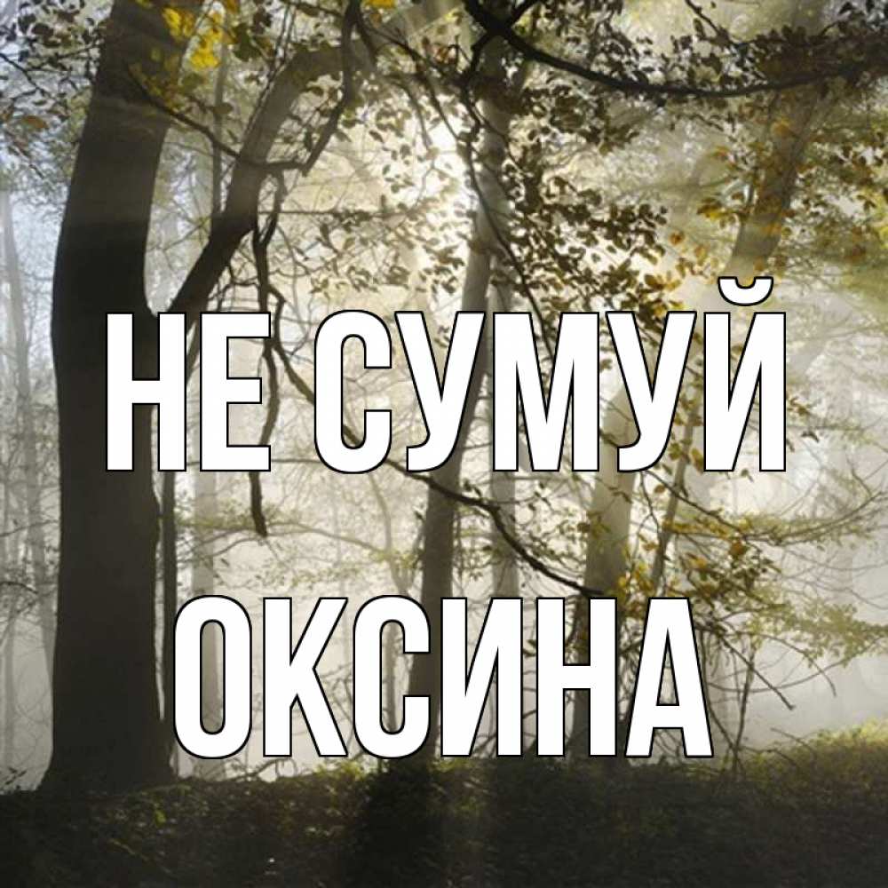 Открытка на каждый день з підписом, Оксина Не сумуй лес и свет Прикольна листівка з побажанням онлайн скачати безкоштовно 
