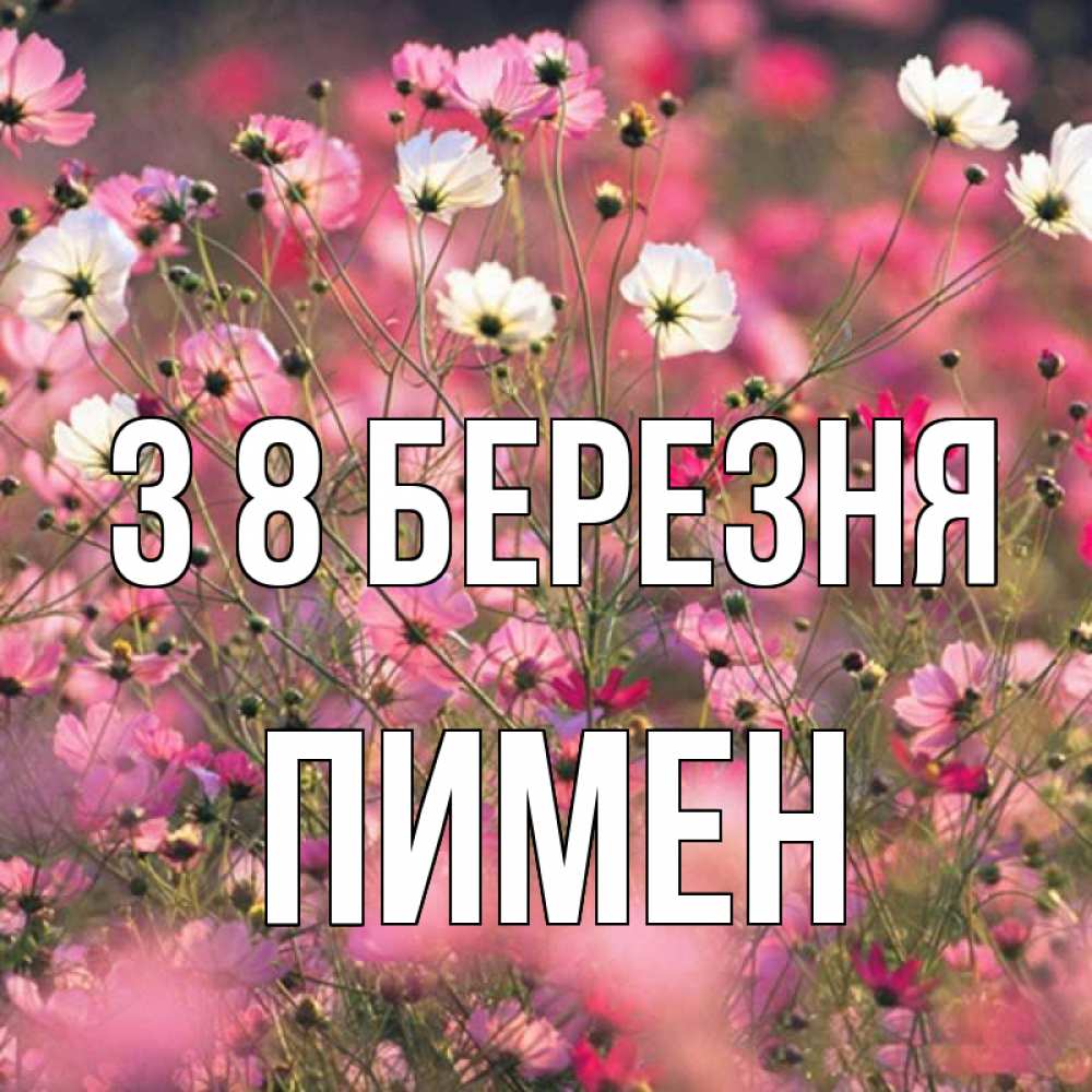 Открытка на каждый день з підписом, Пимен З 8 БЕРЕЗНЯ красиво 1 Прикольна листівка з побажанням онлайн скачати безкоштовно 