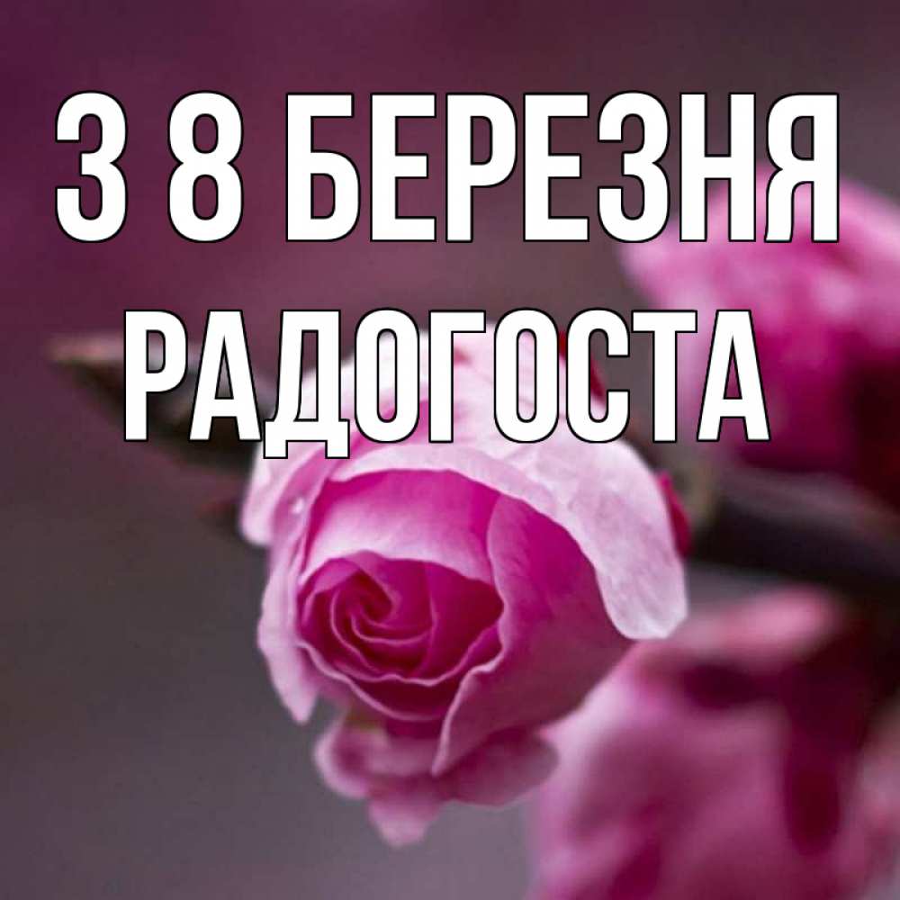 Открытка на каждый день з підписом, Радогоста З 8 БЕРЕЗНЯ весна Прикольна листівка з побажанням онлайн скачати безкоштовно 