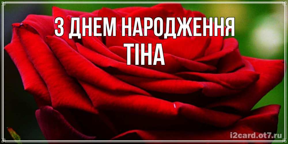 Открытка на каждый день з підписом, Тіна З Днем народження розочка очень красивая Прикольна листівка з побажанням онлайн скачати безкоштовно 