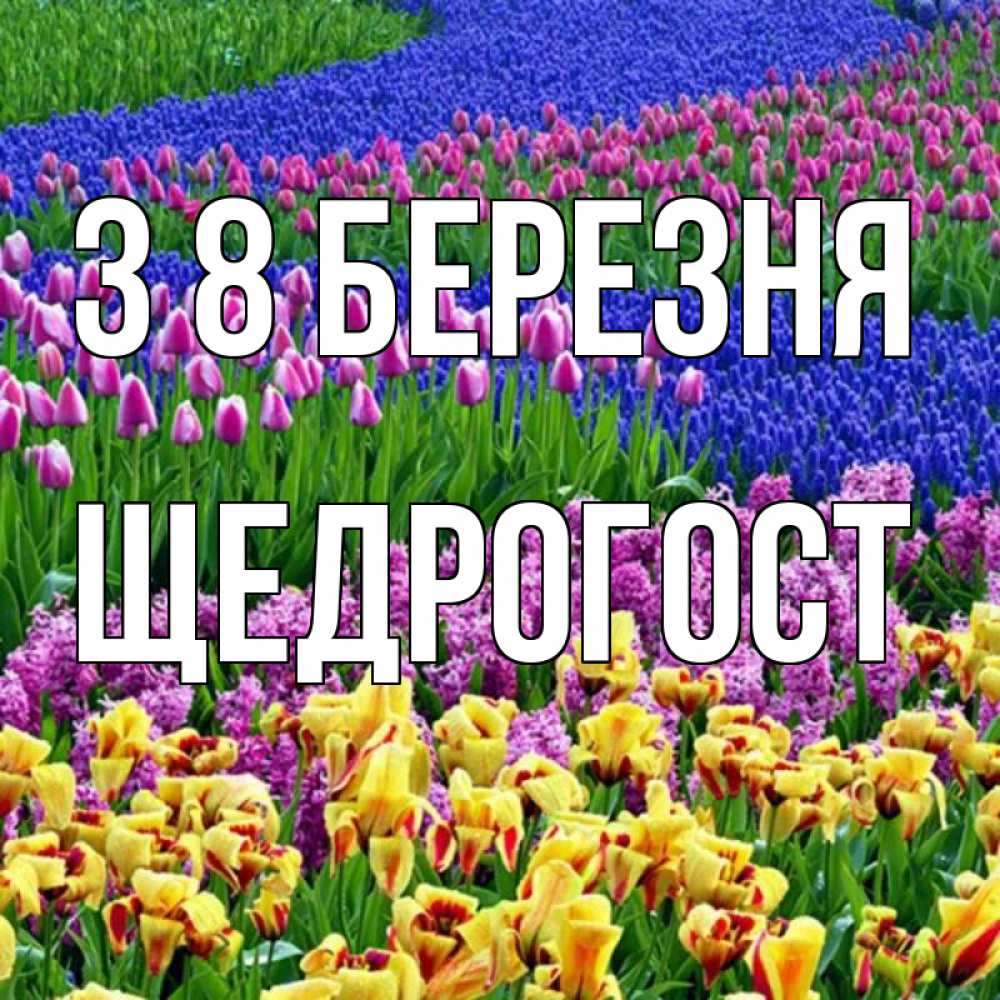 Открытка на каждый день з підписом, Щедрогост З 8 БЕРЕЗНЯ цветы Прикольна листівка з побажанням онлайн скачати безкоштовно 