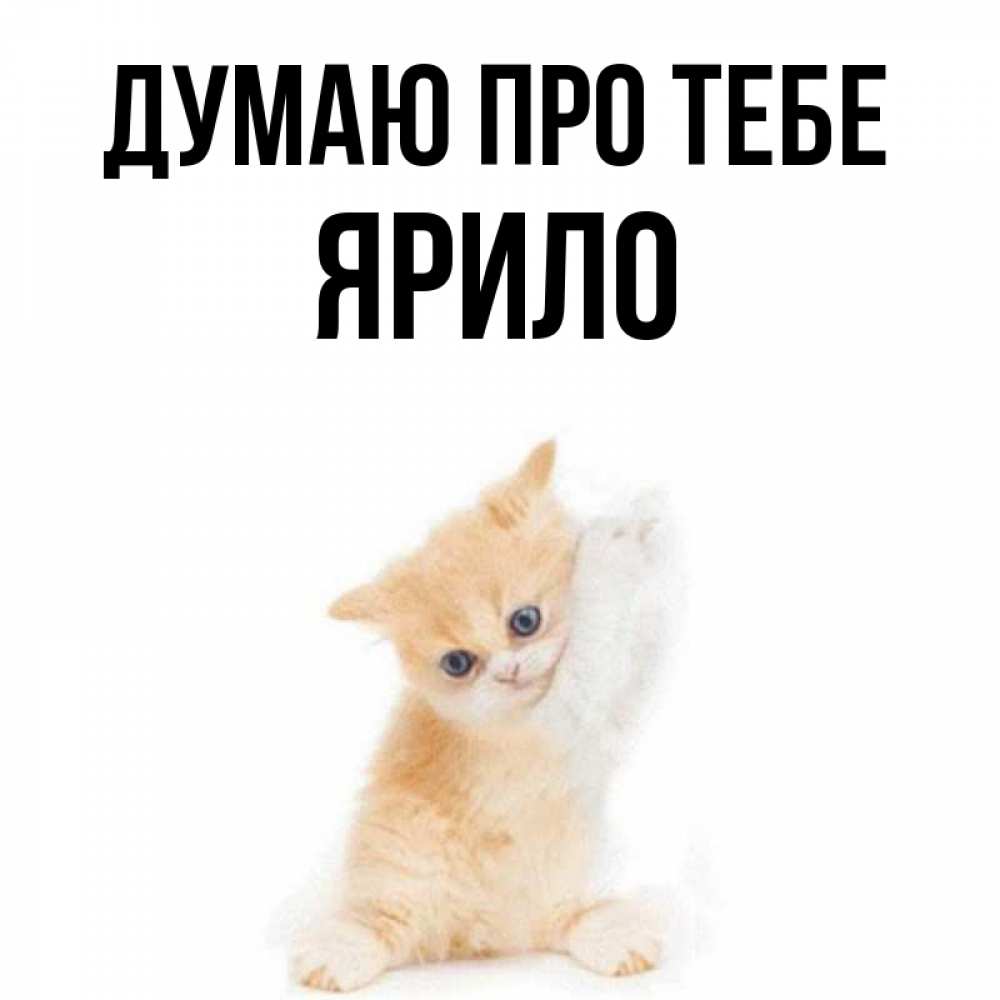 Открытка на каждый день з підписом, Ярило Думаю про тебе зверушки и милота Прикольна листівка з побажанням онлайн скачати безкоштовно 
