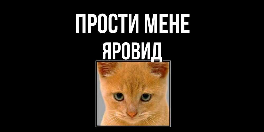 Открытка на каждый день з підписом, Яровид Прости мене рыжий грустный кот просит прощения Прикольна листівка з побажанням онлайн скачати безкоштовно 