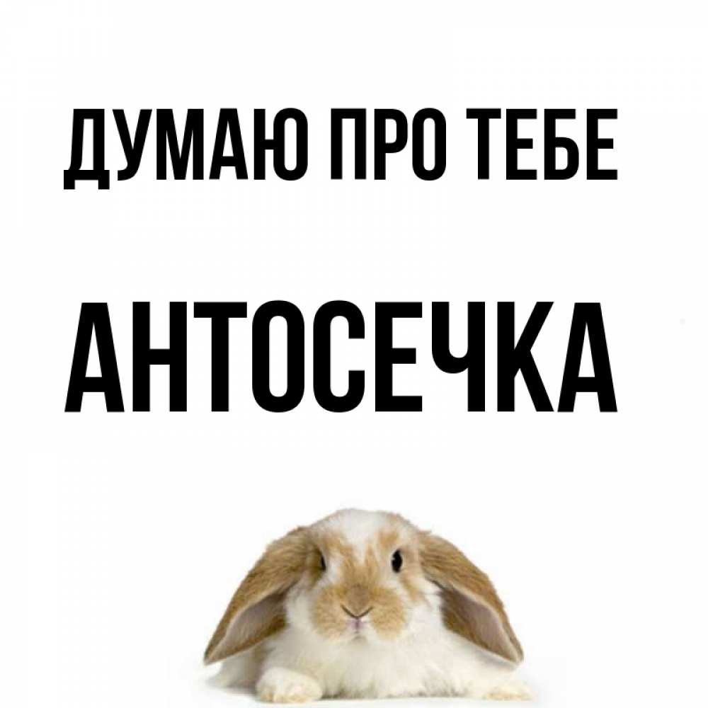 Открытка на каждый день з підписом, Антосечка Думаю про тебе подписать своими руками онлайн Прикольна листівка з побажанням онлайн скачати безкоштовно 