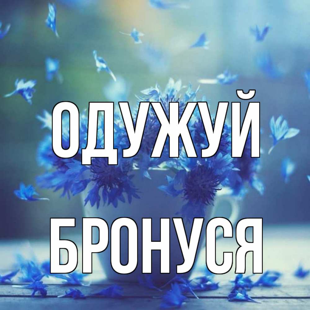 Открытка на каждый день з підписом, Бронуся Одужуй кружка с зельем и цветами Прикольна листівка з побажанням онлайн скачати безкоштовно 