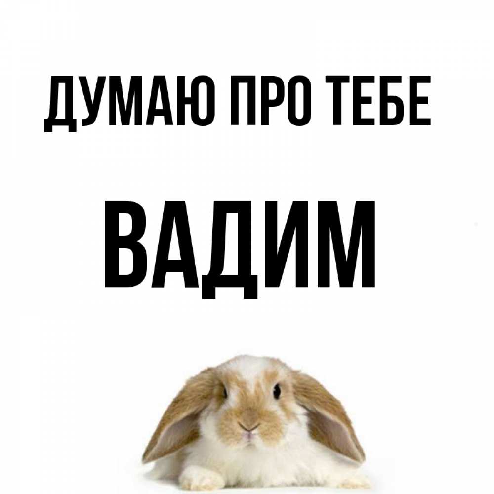 Открытка на каждый день з підписом, Вадим Думаю про тебе подписать своими руками онлайн Прикольна листівка з побажанням онлайн скачати безкоштовно 