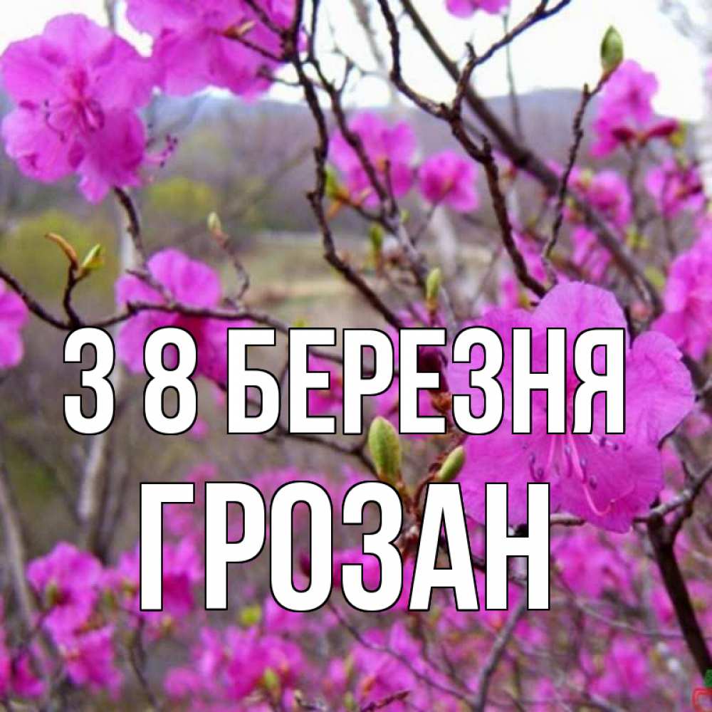 Открытка на каждый день з підписом, Грозан З 8 БЕРЕЗНЯ международный женский день Прикольна листівка з побажанням онлайн скачати безкоштовно 