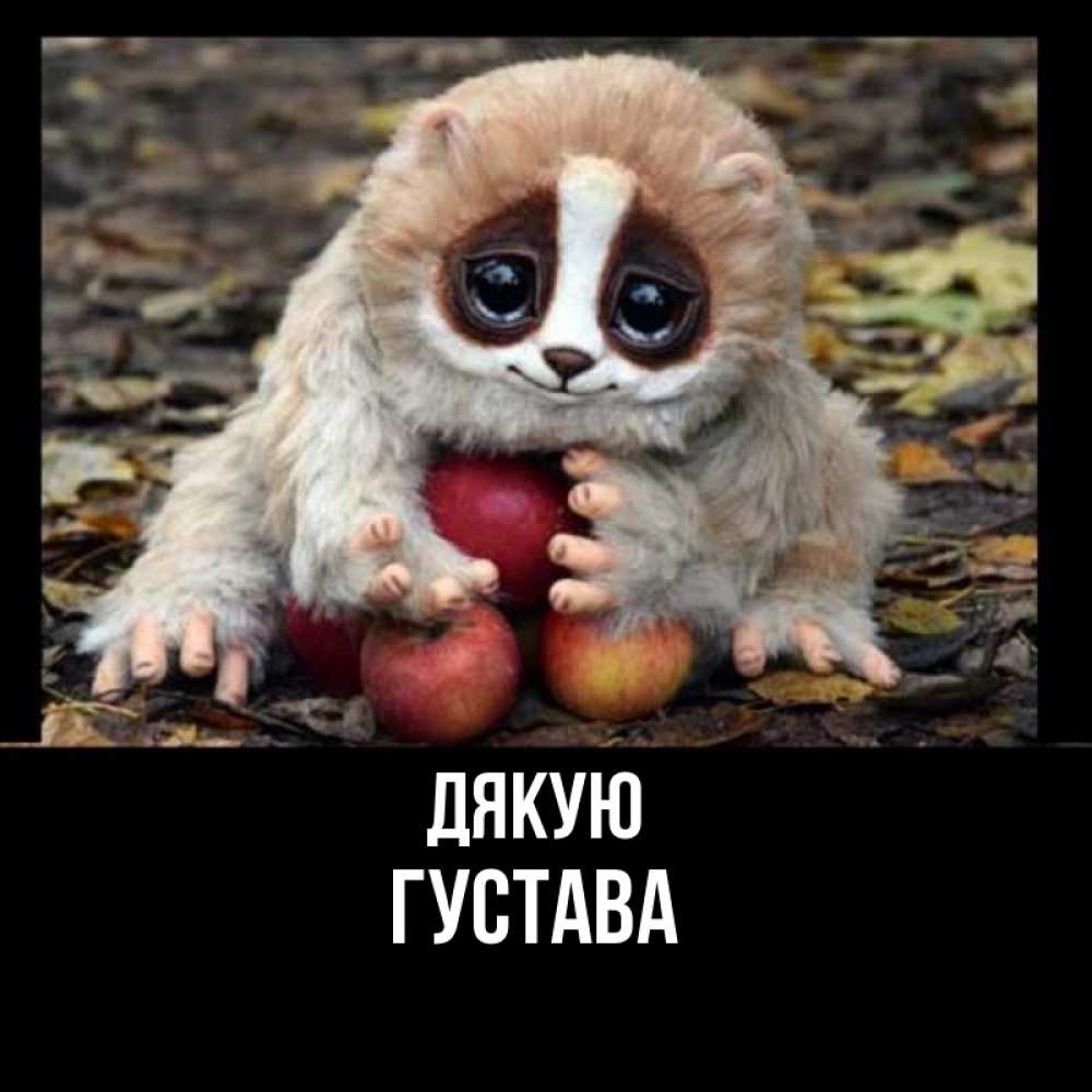 Открытка на каждый день з підписом, Густава Дякую прикольное животное Прикольна листівка з побажанням онлайн скачати безкоштовно 