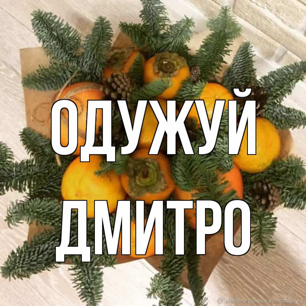 Открытка на каждый день з підписом, Дмитро Одужуй апельсины и хурьма Прикольна листівка з побажанням онлайн скачати безкоштовно 