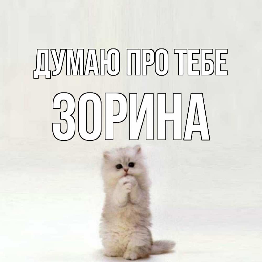 Открытка на каждый день з підписом, Зорина Думаю про тебе кот стоит на задних лапах Прикольна листівка з побажанням онлайн скачати безкоштовно 