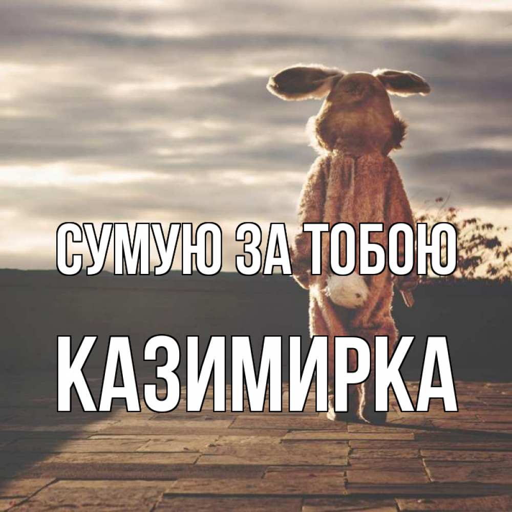 Открытка на каждый день з підписом, Казимирка Сумую за тобою даже в костюме зайца Прикольна листівка з побажанням онлайн скачати безкоштовно 