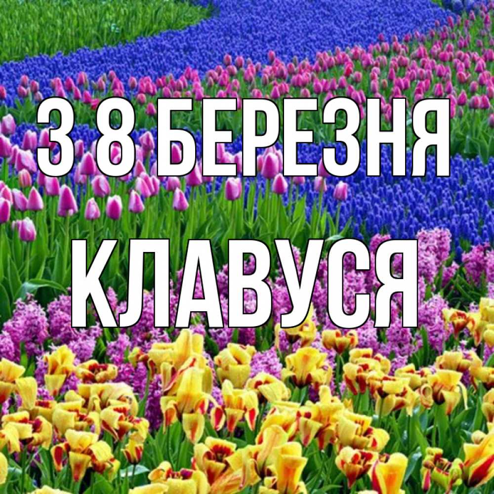Открытка на каждый день з підписом, Клавуся З 8 БЕРЕЗНЯ цветы Прикольна листівка з побажанням онлайн скачати безкоштовно 