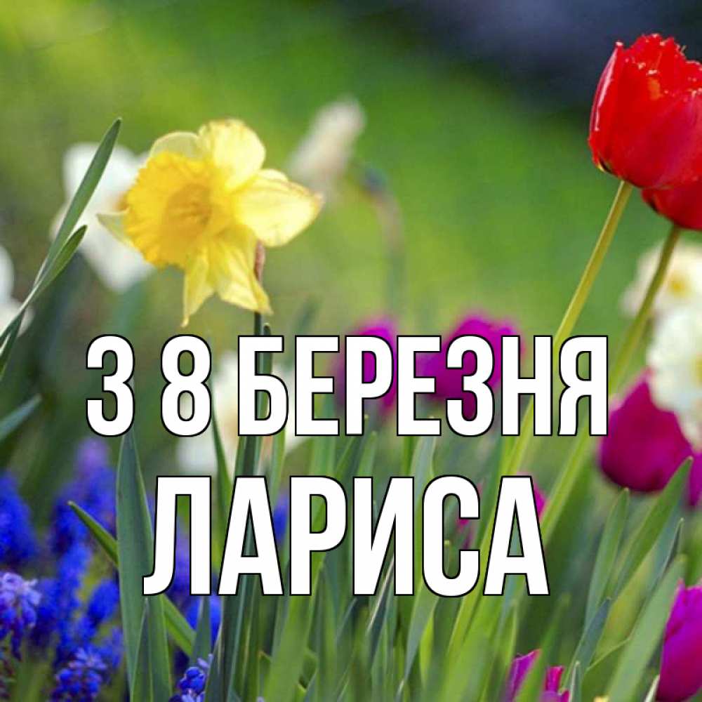 Открытка на каждый день з підписом, Лариса З 8 БЕРЕЗНЯ международный женский день 3 Прикольна листівка з побажанням онлайн скачати безкоштовно 