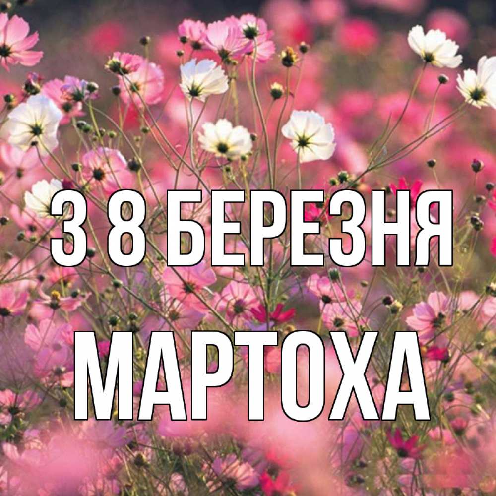 Открытка на каждый день з підписом, Мартоха З 8 БЕРЕЗНЯ красиво 1 Прикольна листівка з побажанням онлайн скачати безкоштовно 