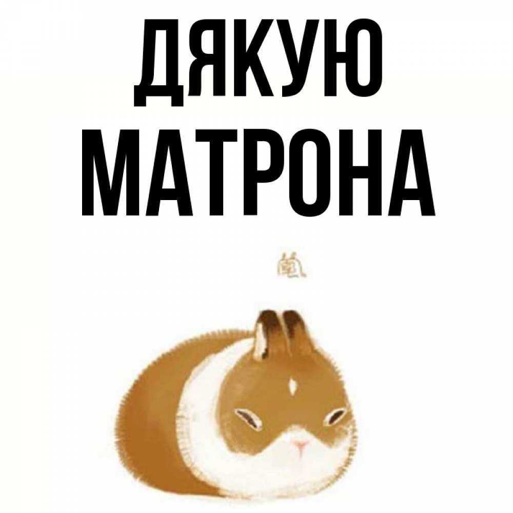 Открытка на каждый день з підписом, Матрона Дякую коричнево белый домашний питомец Прикольна листівка з побажанням онлайн скачати безкоштовно 