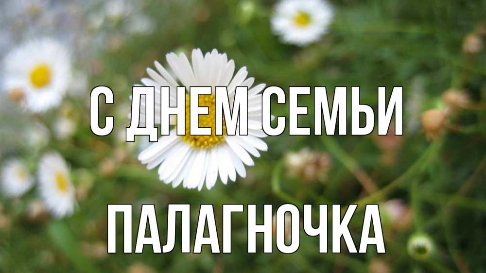 Открытка на каждый день з підписом, Палагночка С днем семьи с днем семьи Прикольна листівка з побажанням онлайн скачати безкоштовно 