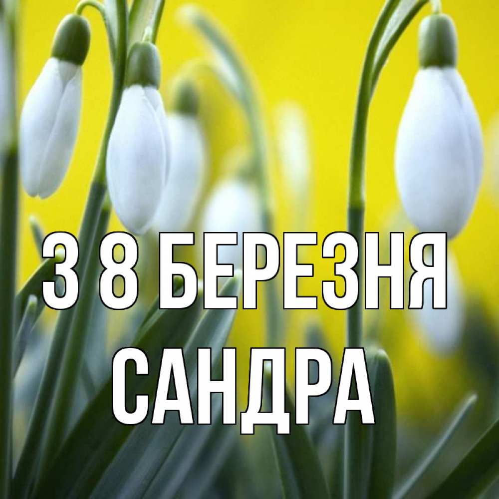 Открытка на каждый день з підписом, Сандра З 8 БЕРЕЗНЯ весенние цветы Прикольна листівка з побажанням онлайн скачати безкоштовно 