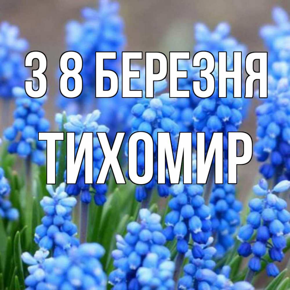 Открытка на каждый день з підписом, Тихомир З 8 БЕРЕЗНЯ Поздравительная открытка для женщин с цветами на праздничную дату Прикольна листівка з побажанням онлайн скачати безкоштовно 