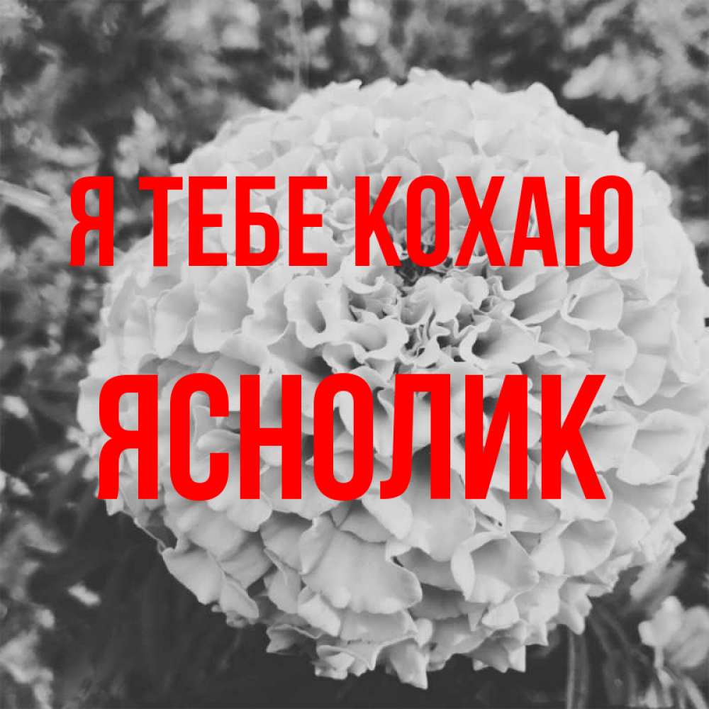 Открытка на каждый день з підписом, Яснолик Я тебе кохаю подпись Прикольна листівка з побажанням онлайн скачати безкоштовно 