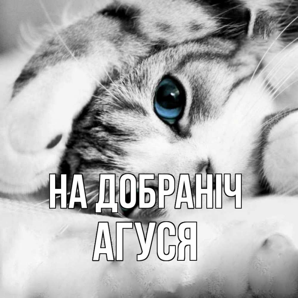 Открытка на каждый день з підписом, Агуся На добраніч кот устал Прикольна листівка з побажанням онлайн скачати безкоштовно 