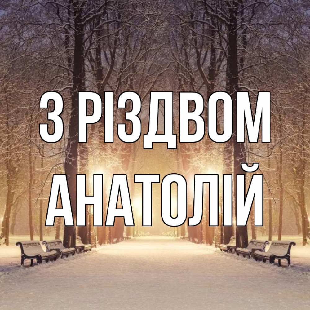 Открытка на каждый день з підписом, Анатолій З Різдвом зима, парк, фонарь, лес Прикольна листівка з побажанням онлайн скачати безкоштовно 