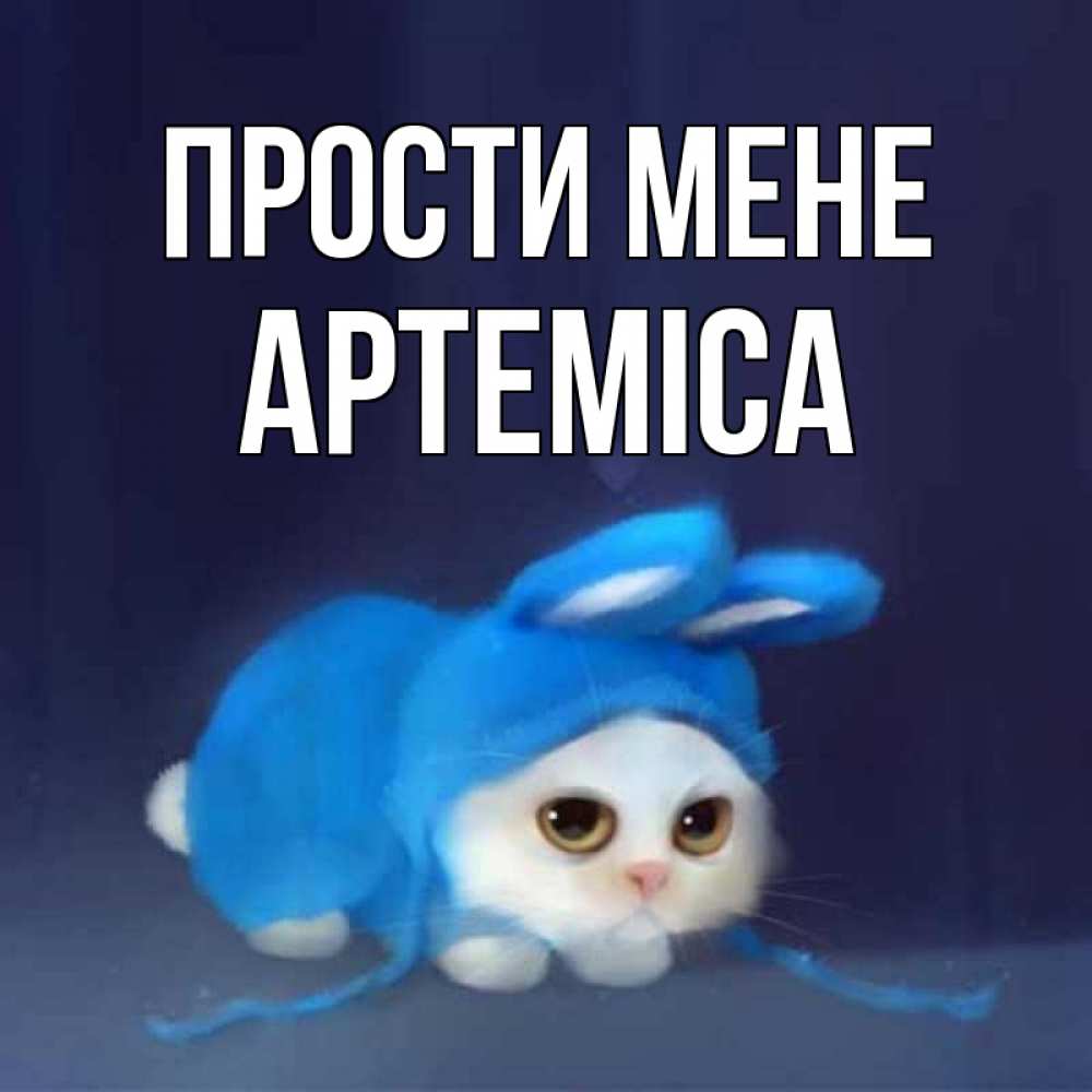 Открытка на каждый день з підписом, Артеміса Прости мене невинный котозай просит прощения Прикольна листівка з побажанням онлайн скачати безкоштовно 