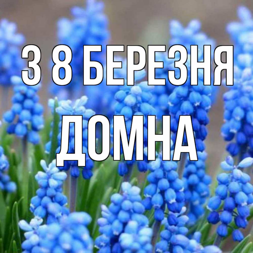 Открытка на каждый день з підписом, Домна З 8 БЕРЕЗНЯ Поздравительная открытка для женщин с цветами на праздничную дату Прикольна листівка з побажанням онлайн скачати безкоштовно 