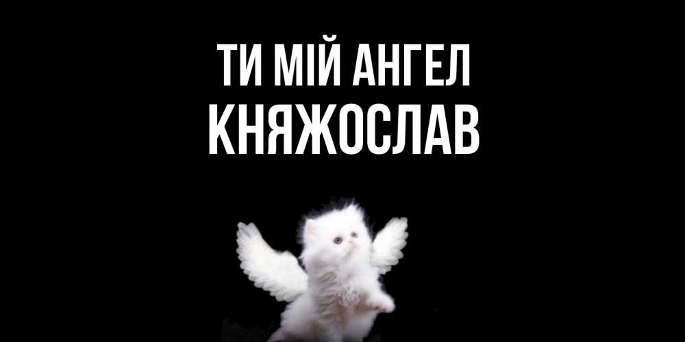 Открытка на каждый день з підписом, Княжослав Ти мій ангел Кот ангел Прикольна листівка з побажанням онлайн скачати безкоштовно 