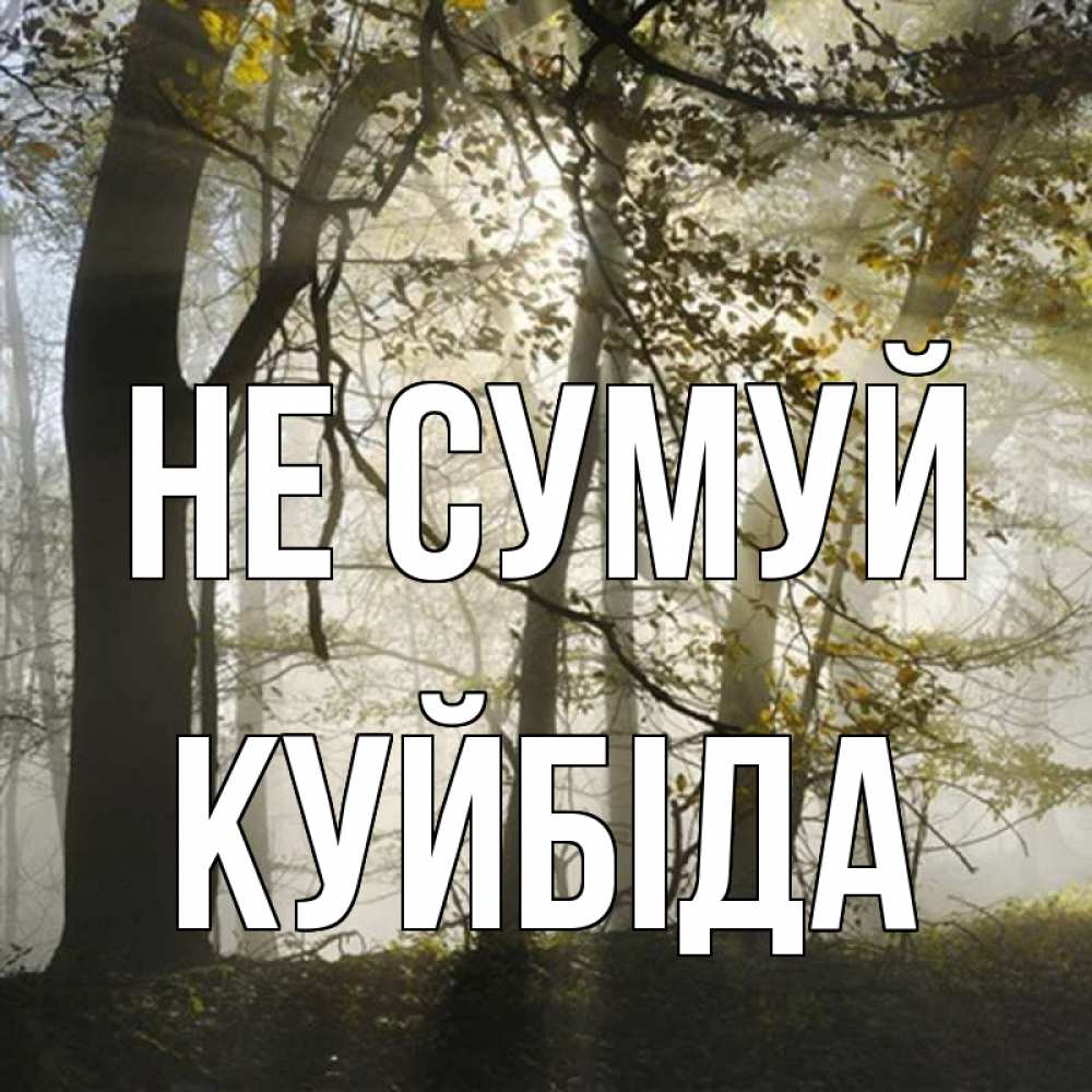 Открытка на каждый день з підписом, Куйбіда Не сумуй лес и свет Прикольна листівка з побажанням онлайн скачати безкоштовно 