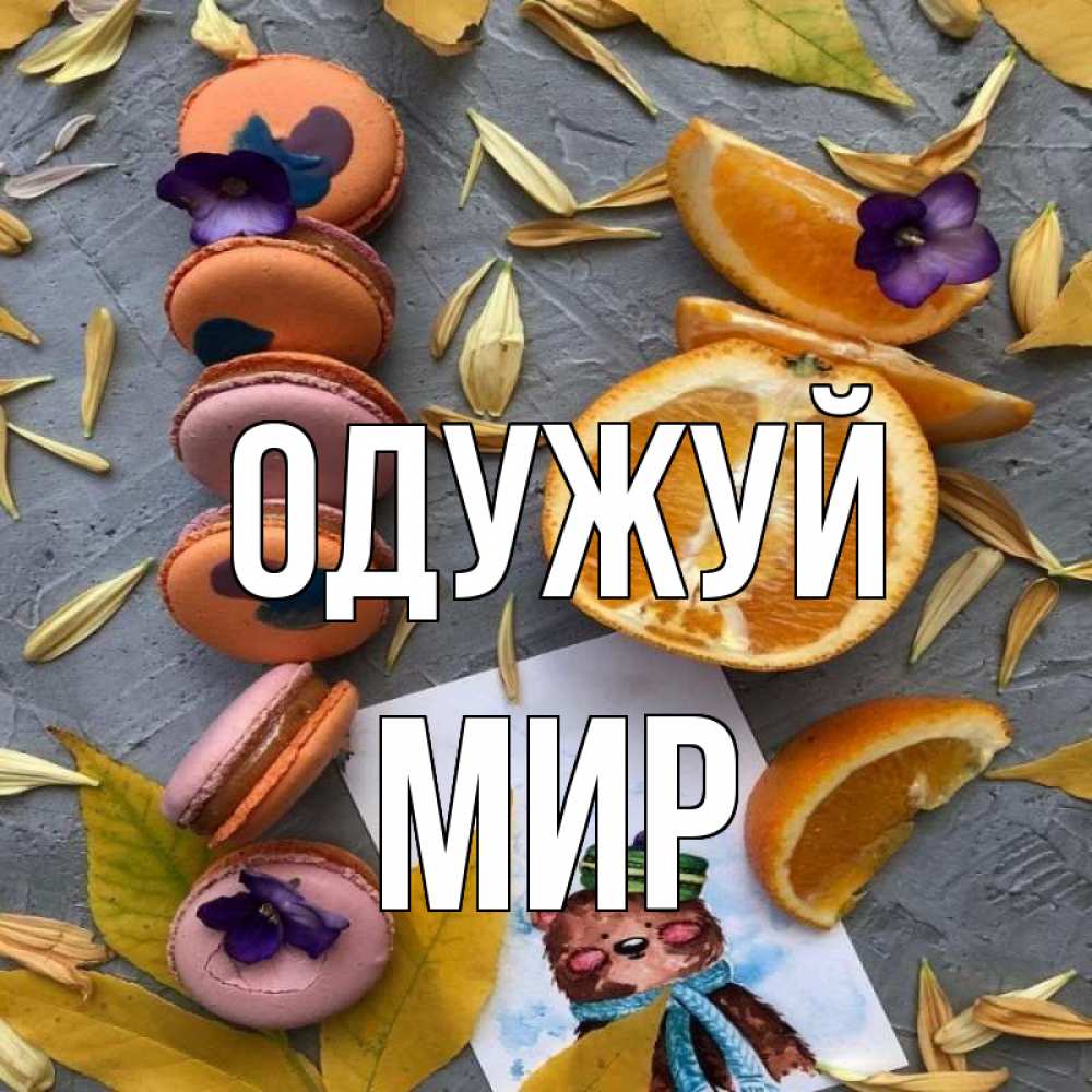 Открытка на каждый день з підписом, Мир Одужуй не болейте Прикольна листівка з побажанням онлайн скачати безкоштовно 