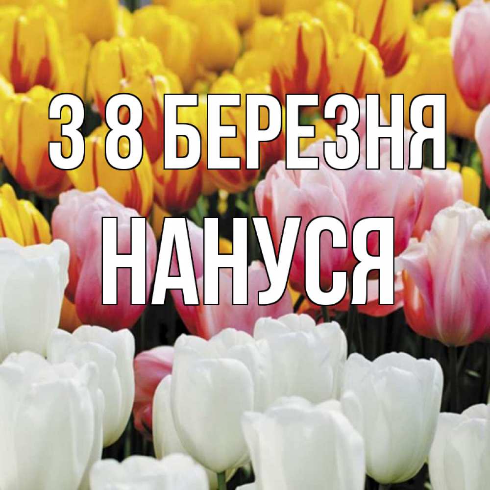 Открытка на каждый день з підписом, Нануся З 8 БЕРЕЗНЯ разноцветные цветы Прикольна листівка з побажанням онлайн скачати безкоштовно 