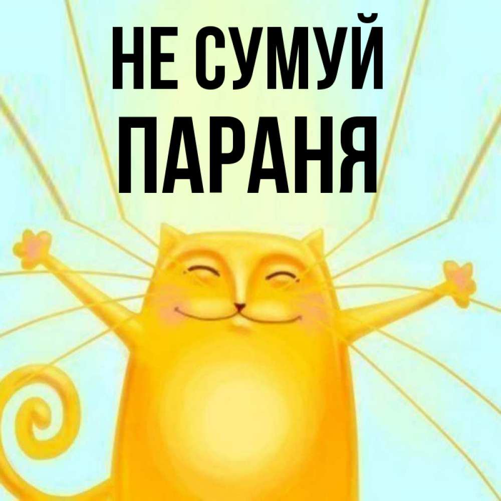 Открытка на каждый день з підписом, Параня Не сумуй обнимашки усатые Прикольна листівка з побажанням онлайн скачати безкоштовно 