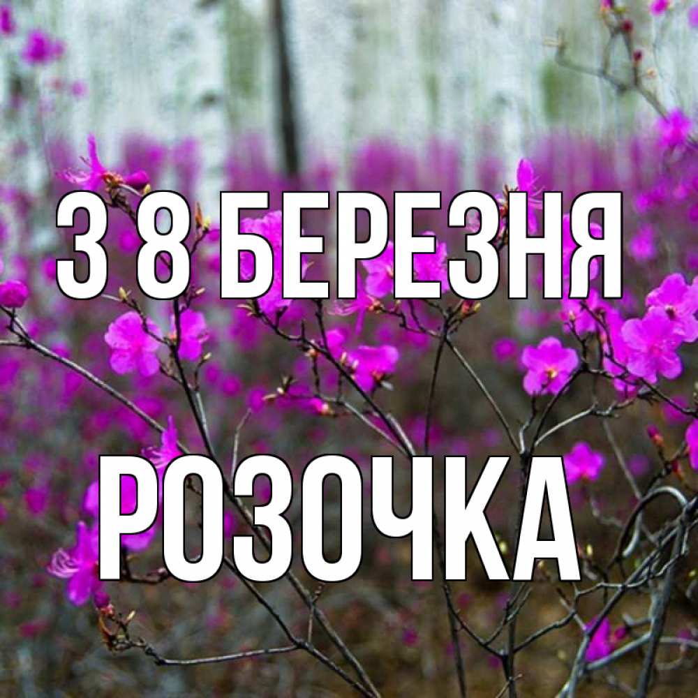 Открытка на каждый день з підписом, Розочка З 8 БЕРЕЗНЯ дикие цветы Прикольна листівка з побажанням онлайн скачати безкоштовно 