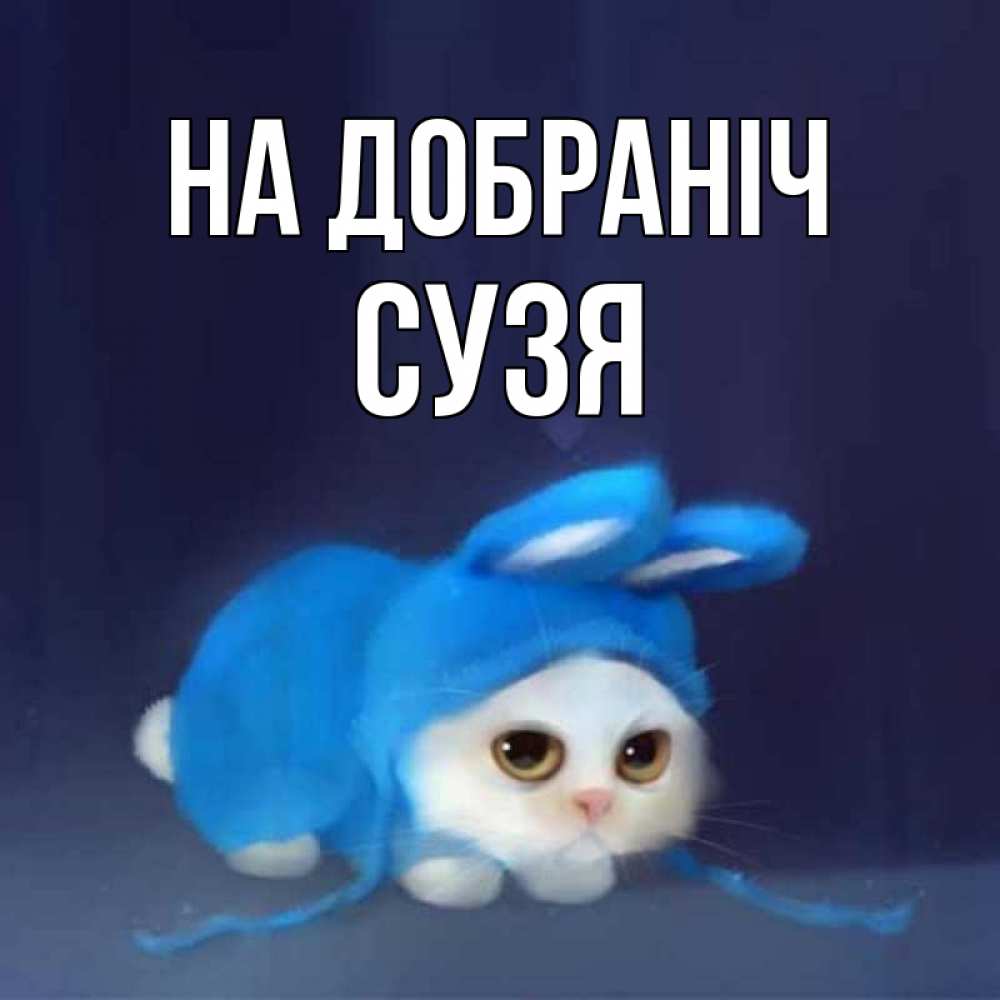 Открытка на каждый день з підписом, Сузя На добраніч кот в голубом костюме кролика с ушками Прикольна листівка з побажанням онлайн скачати безкоштовно 
