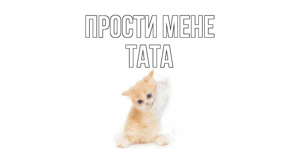 Открытка на каждый день з підписом, Тата Прости мене кот Прикольна листівка з побажанням онлайн скачати безкоштовно 