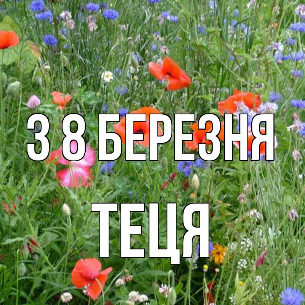 Открытка на каждый день з підписом, Теця З 8 БЕРЕЗНЯ международный женский день 4 Прикольна листівка з побажанням онлайн скачати безкоштовно 