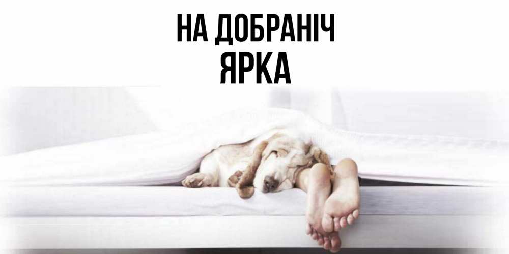 Открытка на каждый день з підписом, Ярка На добраніч кровать с собакой пожелание сладких снов и спокойной ночи Прикольна листівка з побажанням онлайн скачати безкоштовно 