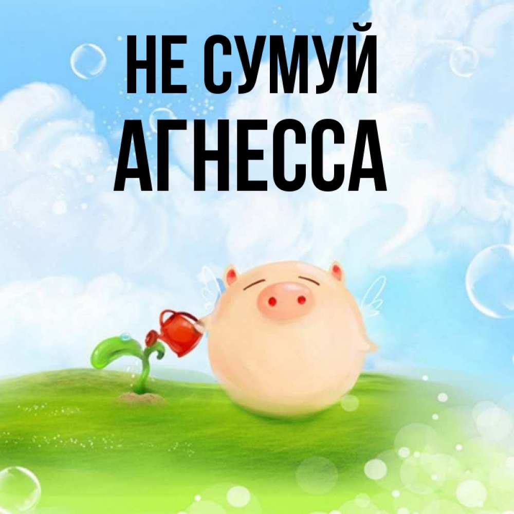 Открытка на каждый день з підписом, Агнесса Не сумуй поливает цветок порося Прикольна листівка з побажанням онлайн скачати безкоштовно 