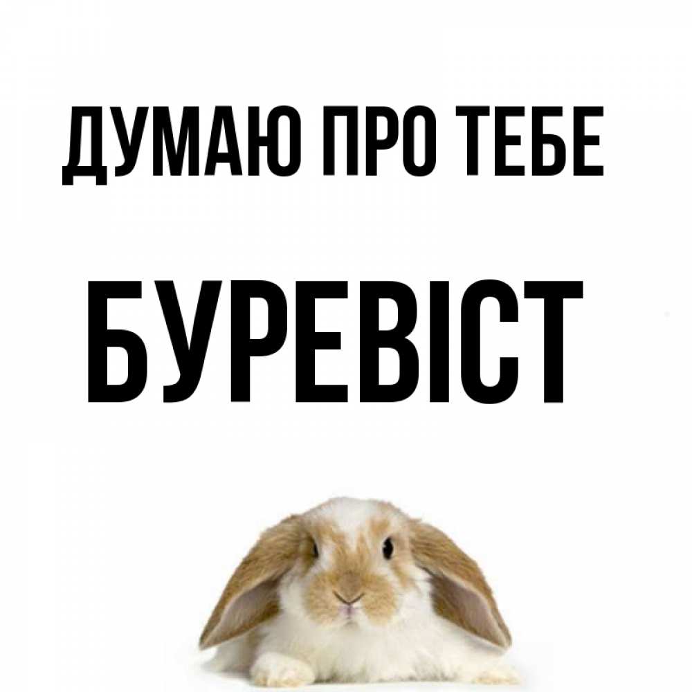 Открытка на каждый день з підписом, Буревіст Думаю про тебе подписать своими руками онлайн Прикольна листівка з побажанням онлайн скачати безкоштовно 