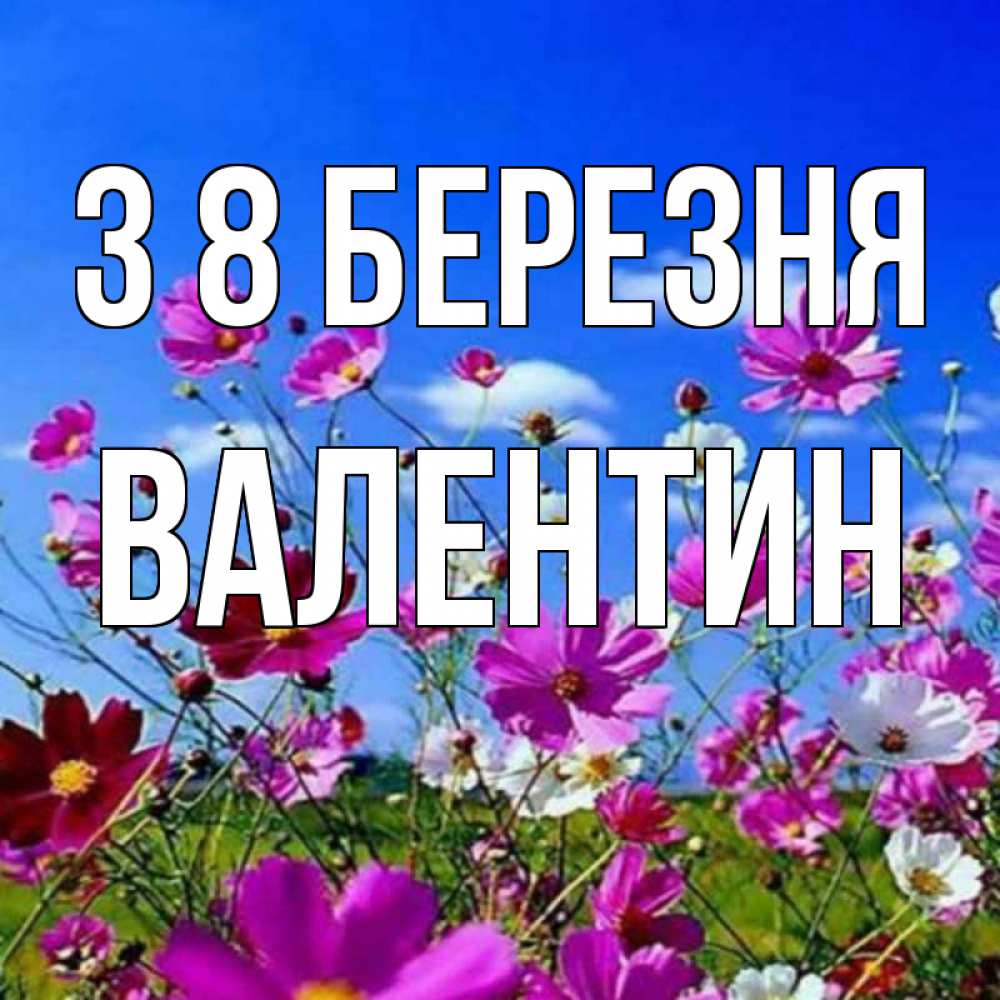 Открытка на каждый день з підписом, Валентин З 8 БЕРЕЗНЯ цветы Прикольна листівка з побажанням онлайн скачати безкоштовно 