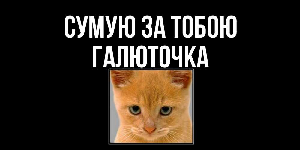 Открытка на каждый день з підписом, Галюточка Сумую за тобою открытки рыжий котенок скучает по тебе Прикольна листівка з побажанням онлайн скачати безкоштовно 