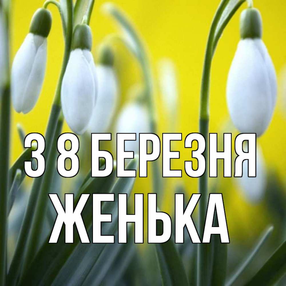 Открытка на каждый день з підписом, Женька З 8 БЕРЕЗНЯ весенние цветы Прикольна листівка з побажанням онлайн скачати безкоштовно 