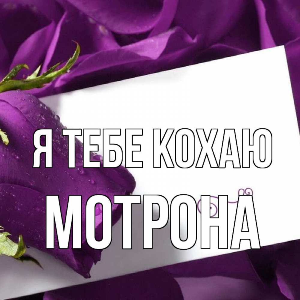 Открытка на каждый день з підписом, Мотрона Я тебе кохаю роза Прикольна листівка з побажанням онлайн скачати безкоштовно 