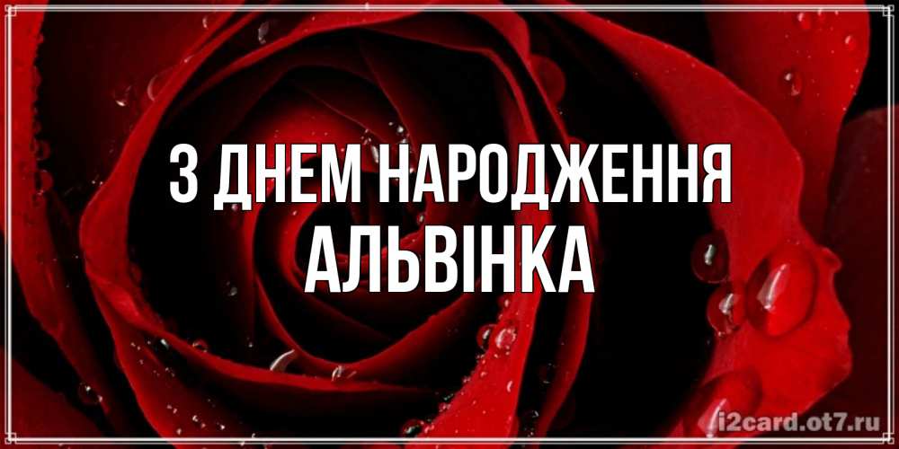 Открытка на каждый день з підписом, Альвінка З Днем народження крупная бордовая роза Прикольна листівка з побажанням онлайн скачати безкоштовно 