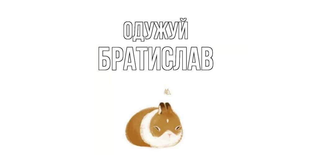 Открытка на каждый день з підписом, Братислав Одужуй морская свинка на открытке с пожеланиями не болеть Прикольна листівка з побажанням онлайн скачати безкоштовно 