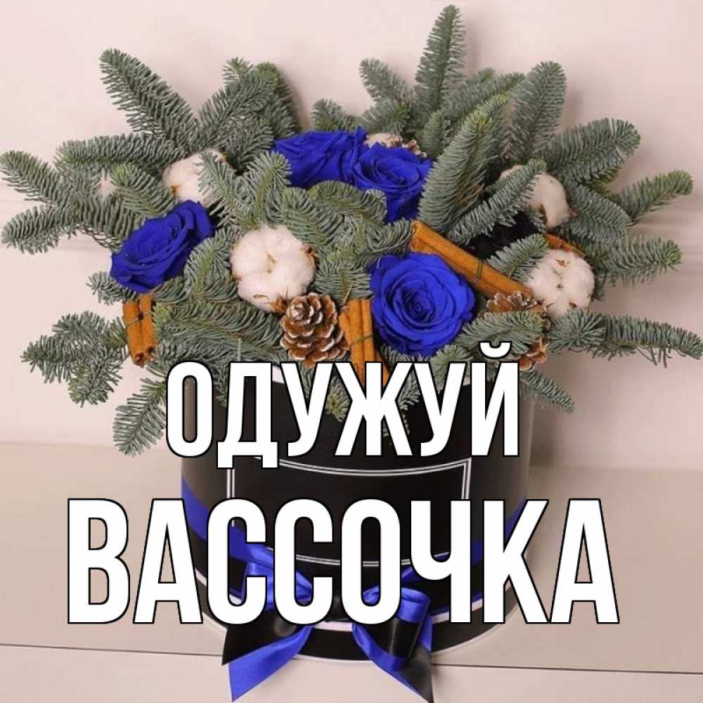 Открытка на каждый день з підписом, Вассочка Одужуй короче кто то загрузил эти шишки Прикольна листівка з побажанням онлайн скачати безкоштовно 